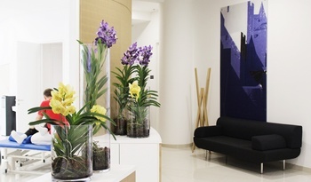 Interior of the Zagreb Polyclinic Glavić filled with artistic expression by local artist